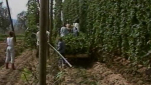 Podmínky práce studentů (1989)