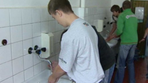 Žloutenka typu A (2008)