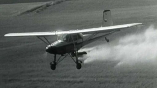 Přihnojování jarní pšenice z letadla (1962)