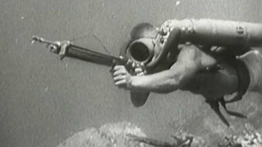 Podmořský lov s harpunami (1956)