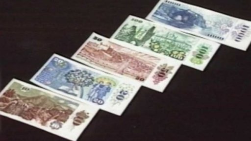 Nová stokoruna (1989)