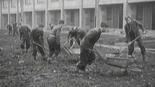 Vánoční strom republiky (1948)