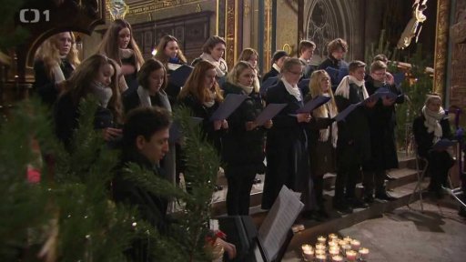 Koncert Tichého světu