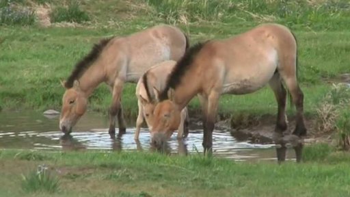 Česká věda stručně