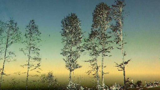 Monitorování Žofínského pralesa