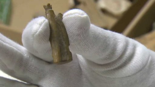 Archeologické nálezy pod Václavským náměstím