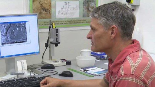 Nejstarší suchozemská rostlina