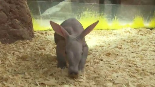 Česká věda stručně