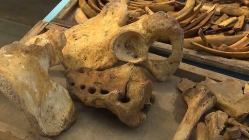 Archeologický průzkum kostnice v Kutné Hoře