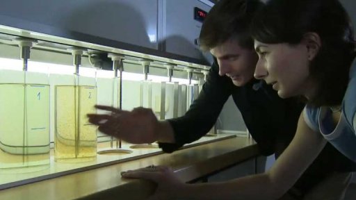 Sinice v pitné vodě