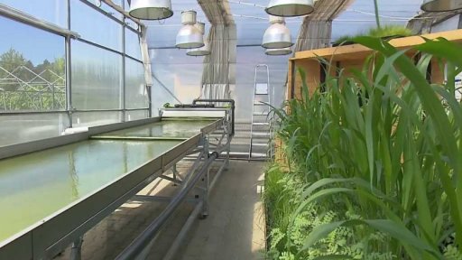 Český pavilon pro Expo 2020