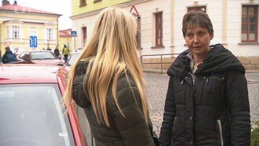 Příspěvek na auto II