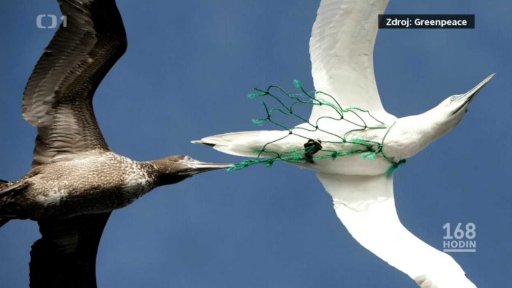 Plastic People of the Universe