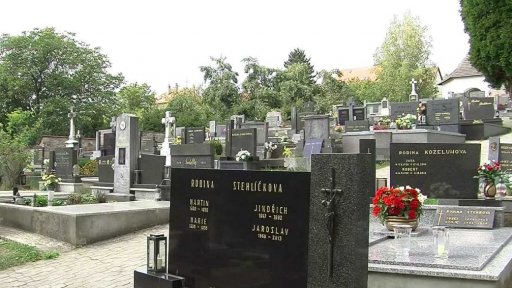 Hon na živnostníka