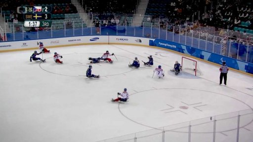 Zimní paralympijské hry z českého pohledu