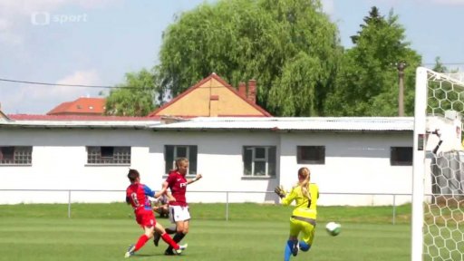 Fotbalové střípky