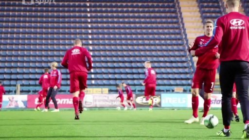 Reprezentační výběry věkových skupin