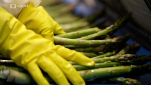 Výprava za chřestovými výhonky