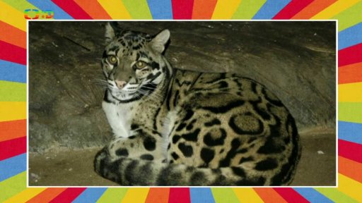 Jarní prázdniny v zoo