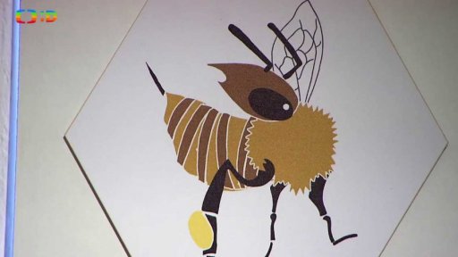 Včely ze všech ú(h)lů