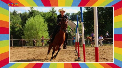 Sportovní den s koňmi