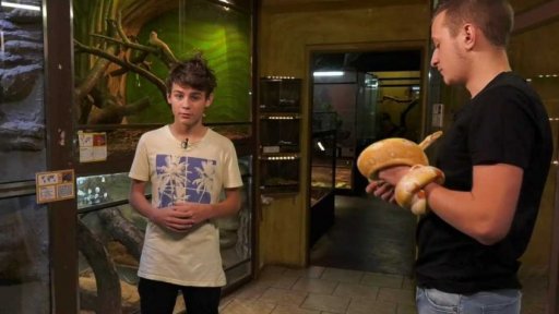 Příroda: Ofidiofobie aneb jak se zbavit strachu z hadů