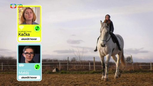 Příroda: Hipoterapie