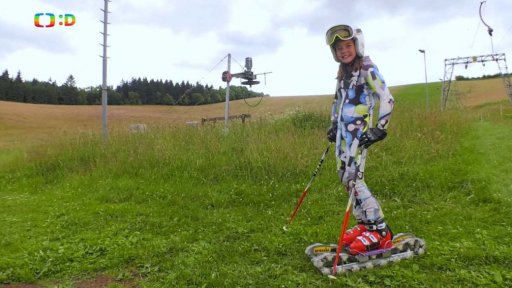 Volný čas: Travní lyžování