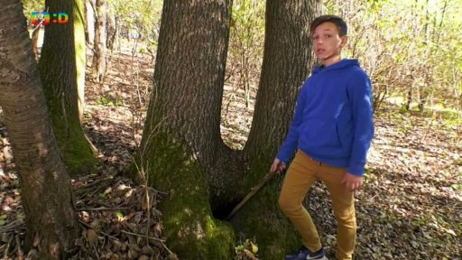 Příroda: Norování