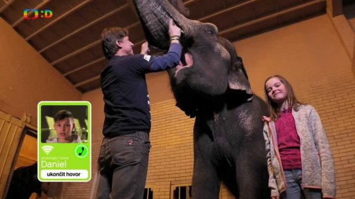 Příroda: Jak se učí zvířata v ZOO a proč?