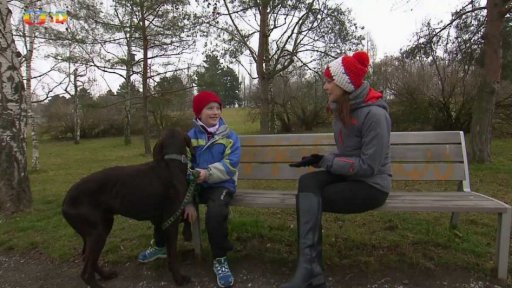 Sportovní reportáž: Canicross