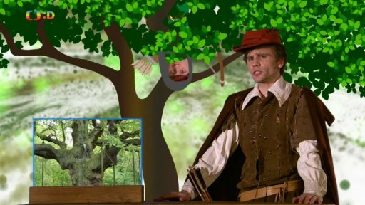 Zaostřeno na: Sherwood, les Robina Hooda