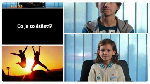 Anketa: Co je štěstí?