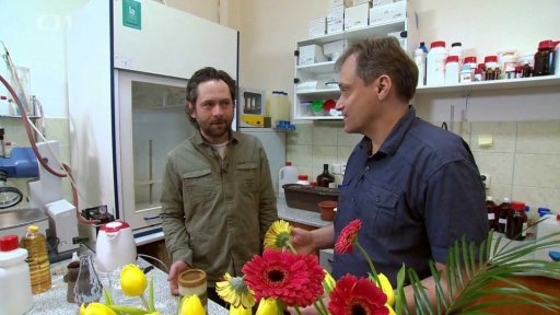 Čistota půl zdraví