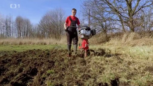 Jak zkultivovat louku na pole