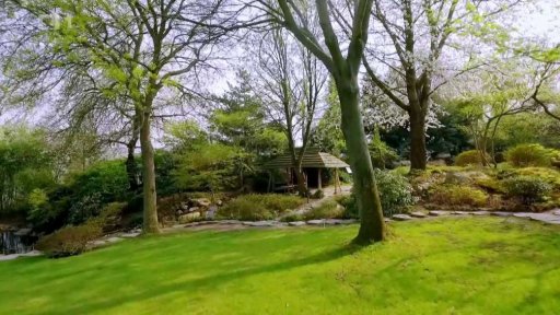 Velké stromy v zahradní kompozici