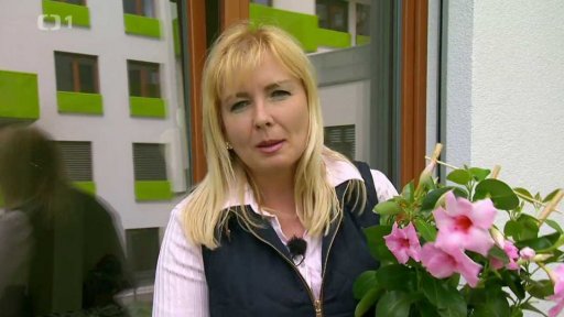 Neobvyklé truhlíky