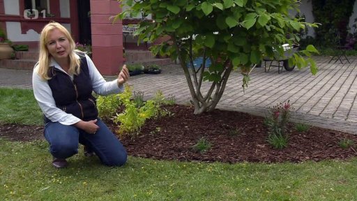 Renovace míst na zahradě