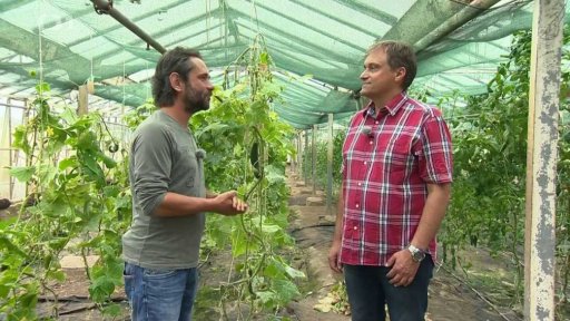 Škodlivý a užitečný hmyz