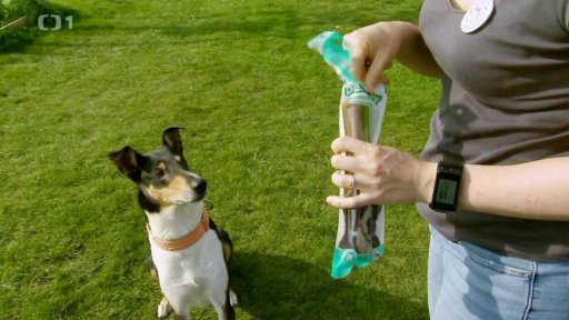 Kvalitní pamlsky pro psa