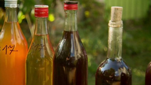 Stáčení ovocného vína