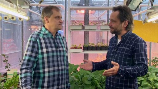 Pěstování zeleniny v zimě