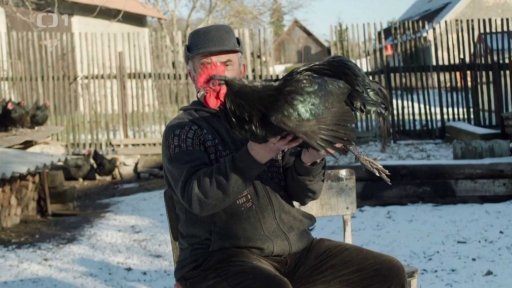 Sestřih a pedikúra