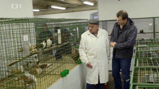 Zpátky na výstavě