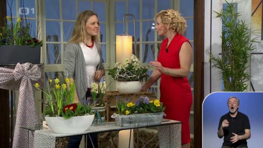 Týdenní seriál - jaro v bytě - truhlíky domů i za okno