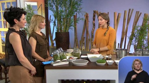 Klíčky a výhonky - 1. část