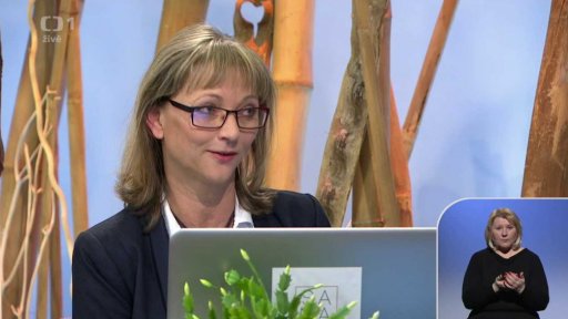 Přídavky - Úřad práce