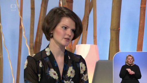 Různé druhy vlákniny a jejich použití - Veronika Pourová