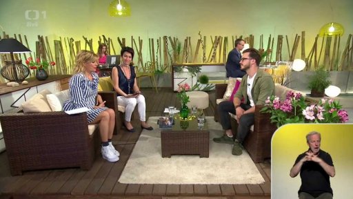 Rapper Lipo + anketa