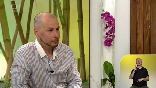 Čeho se bát v lese